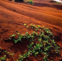 魂类游戏《枯瑟信仰：放逐者》全新实机视频公布